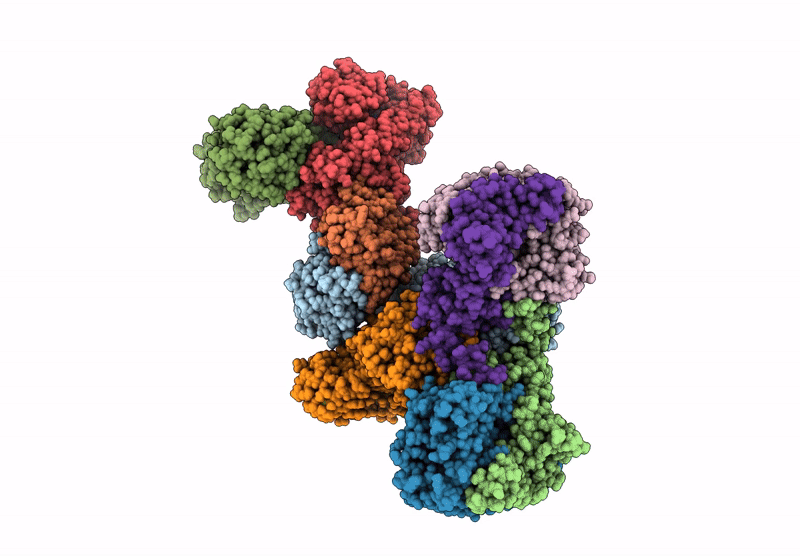 8RVU image