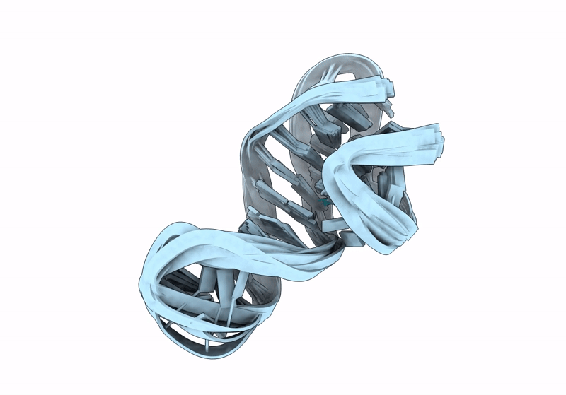 8RW2 image