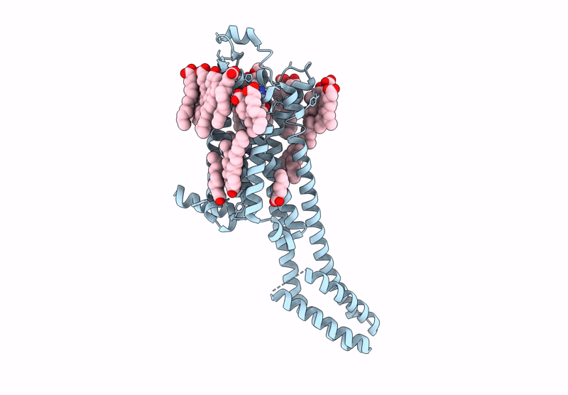 8RW4 image