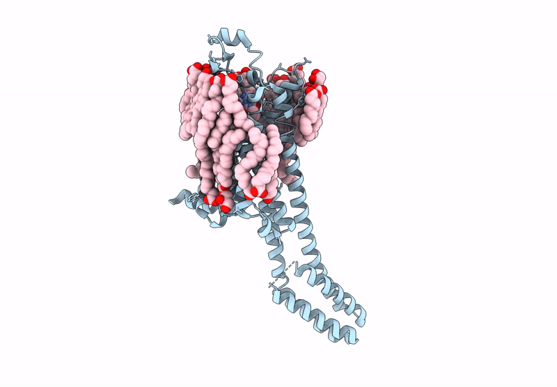 8RWE image