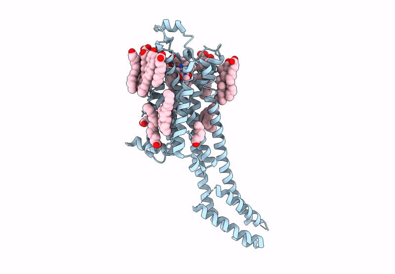 8RWI image