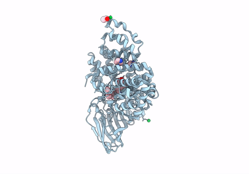 8RX3 image