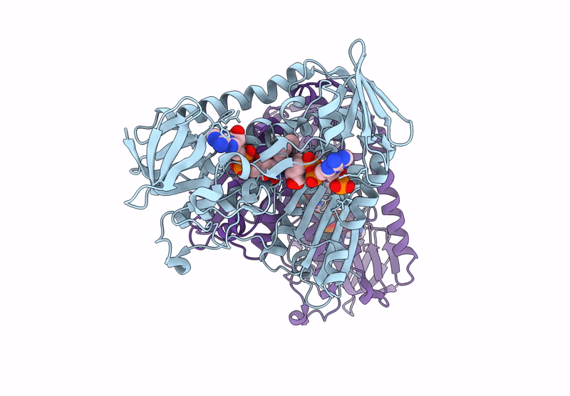 8RX4 image