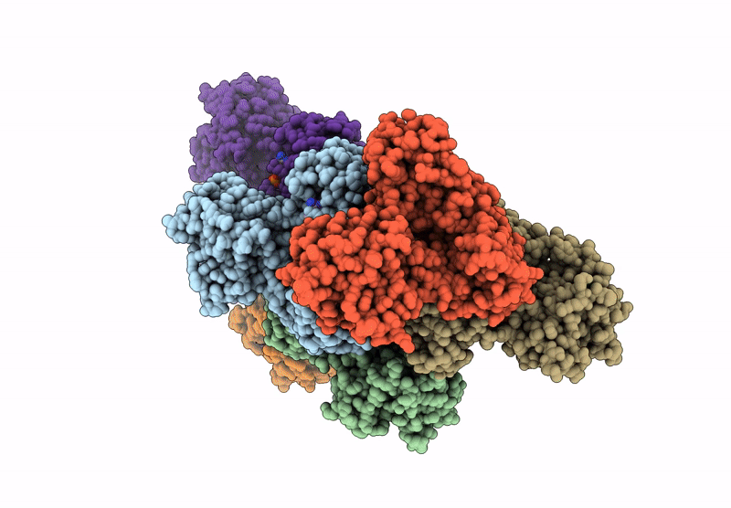 8RX5 image