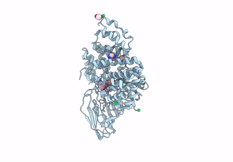 8RX9 image