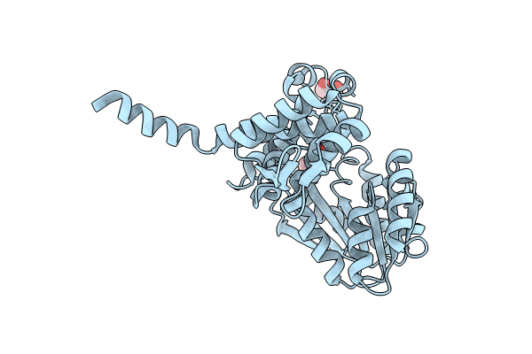 8RXF image