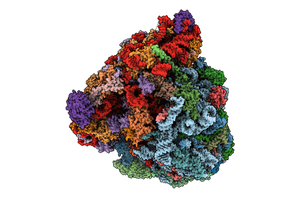 8RXH image