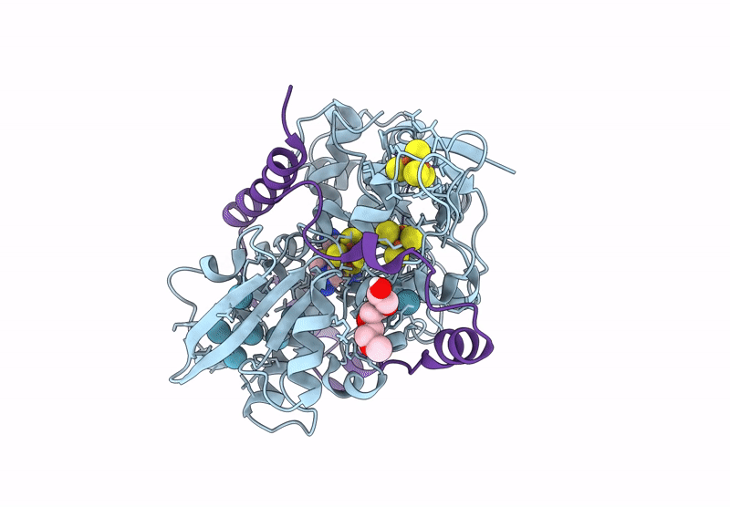 8RXJ image