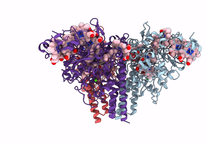 8RXU image