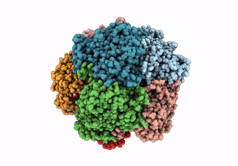 8RY1 image
