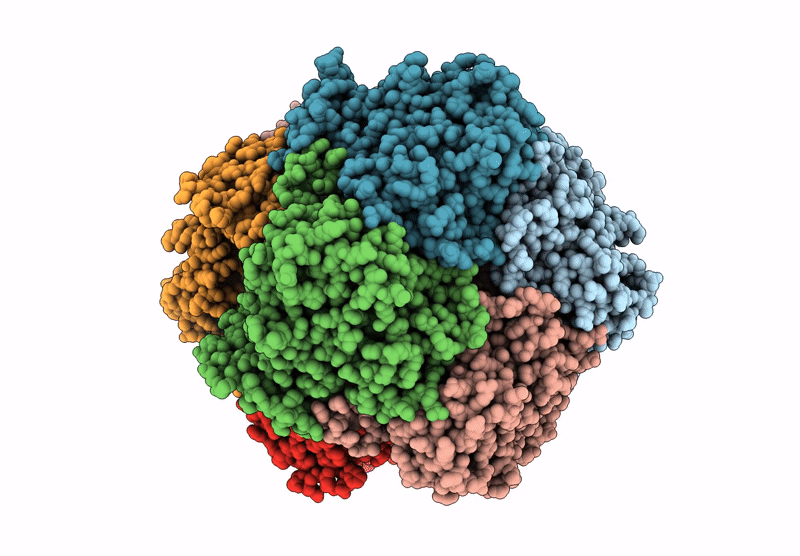 8RY6 image