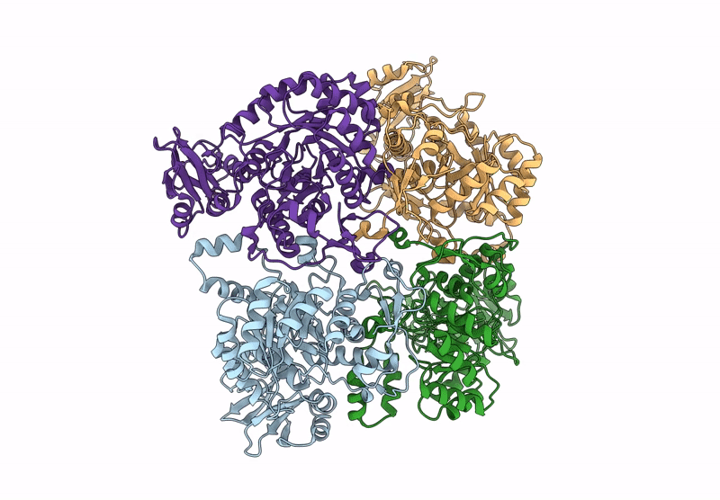 8RYA image