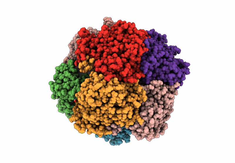 8RYB image