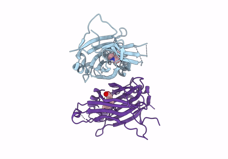 8RYC image