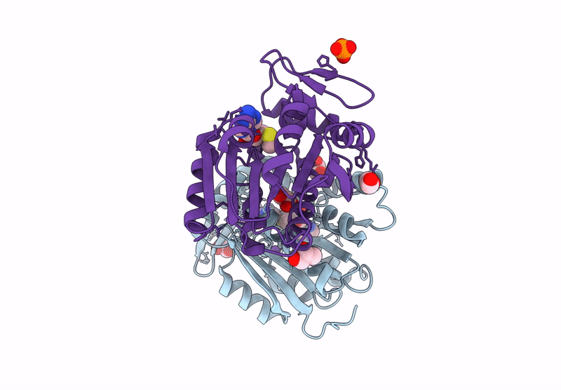 8RYF image
