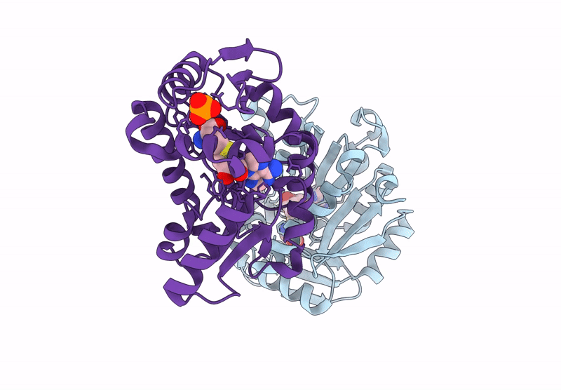 8RYG image