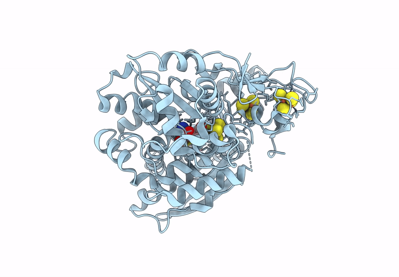 8RYH image