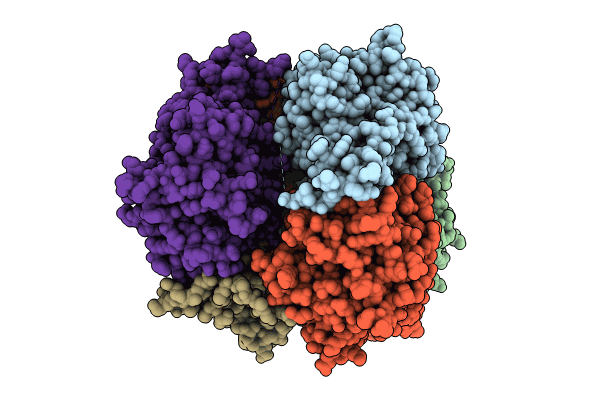 8RYI image