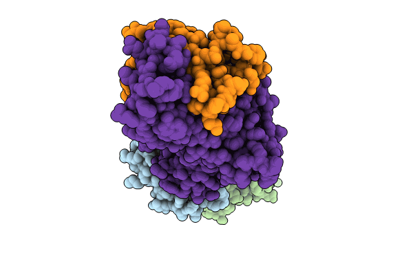 8RYM image
