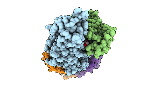 8RYP image