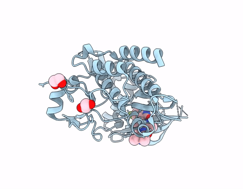 8S14 image