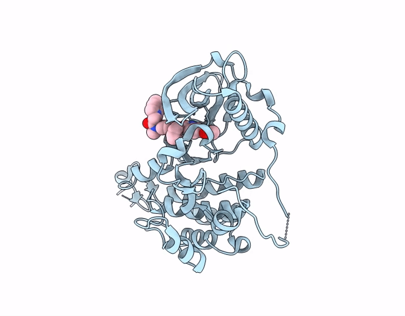 8S15 image