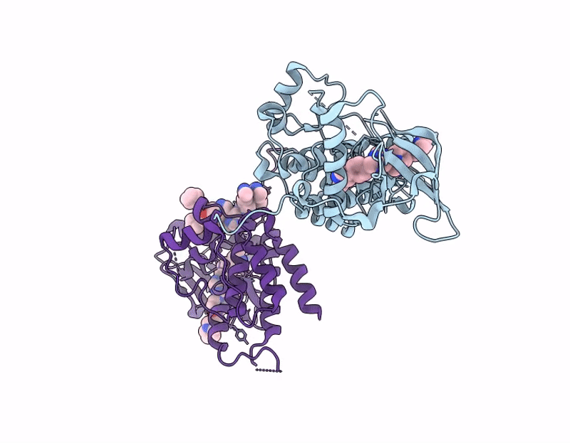 8S1B image