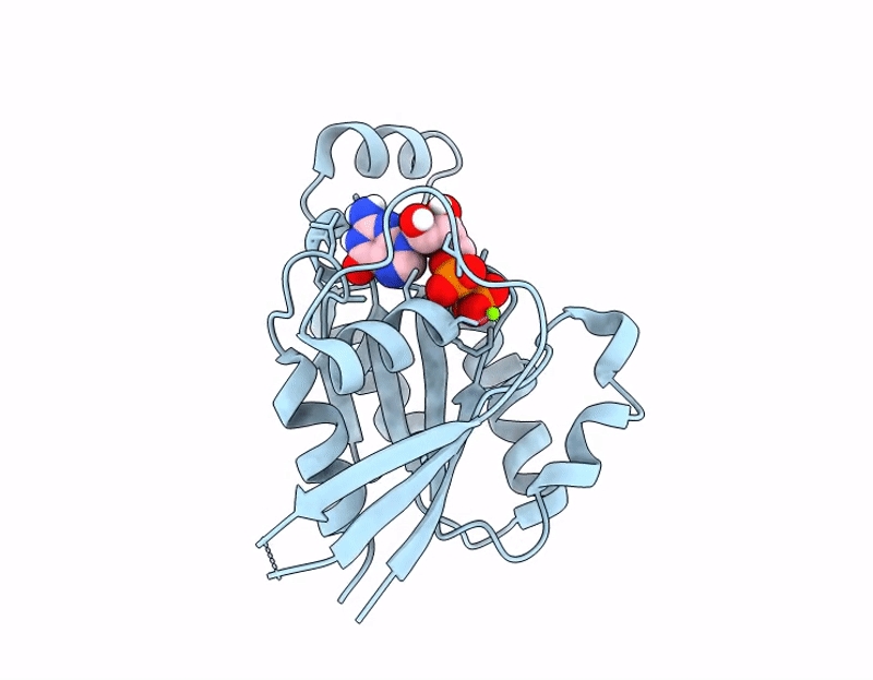 8S1N image