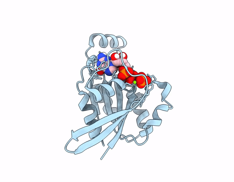 8S1O image