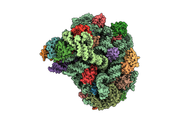 8S1P image