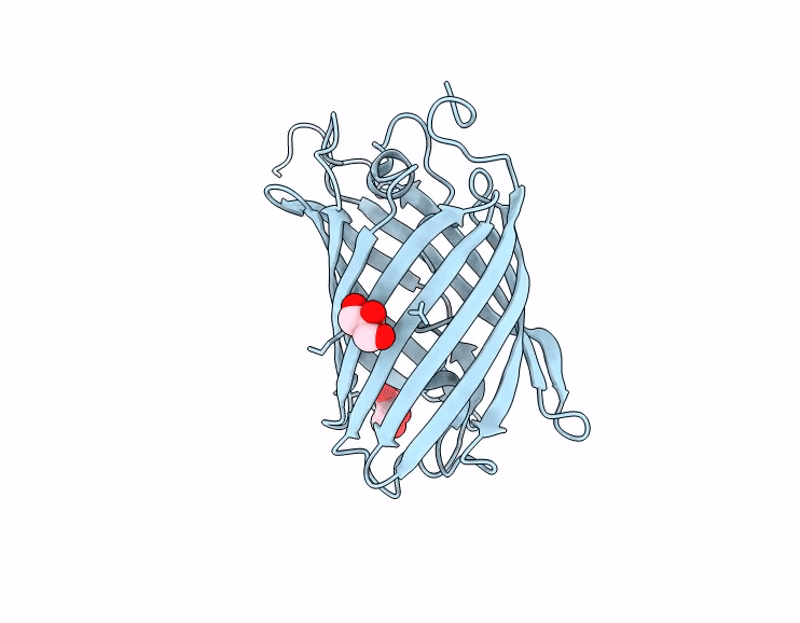 8S1V image