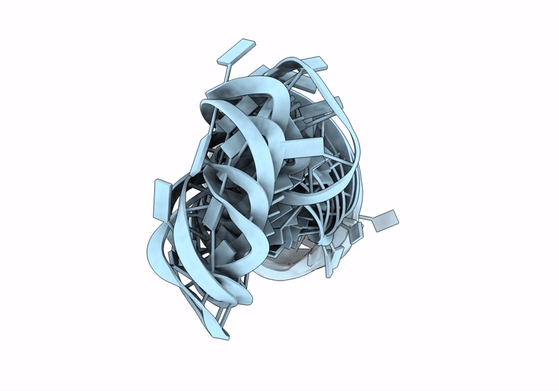 8S1W image
