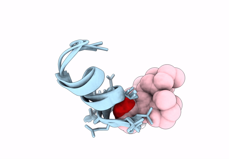 8S2A image