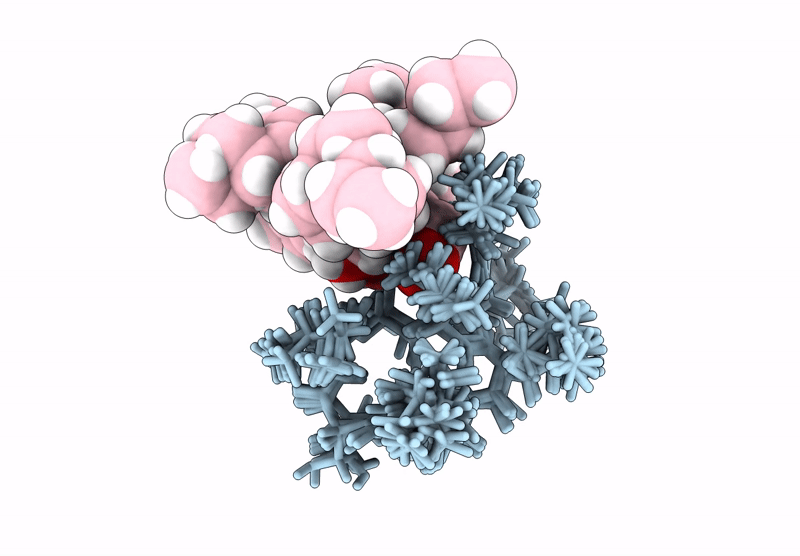 8S2C image