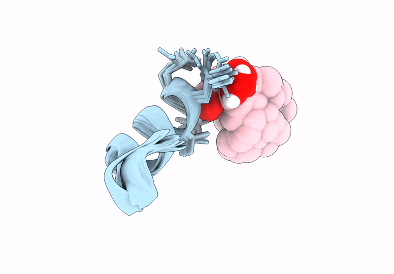 8S2D image