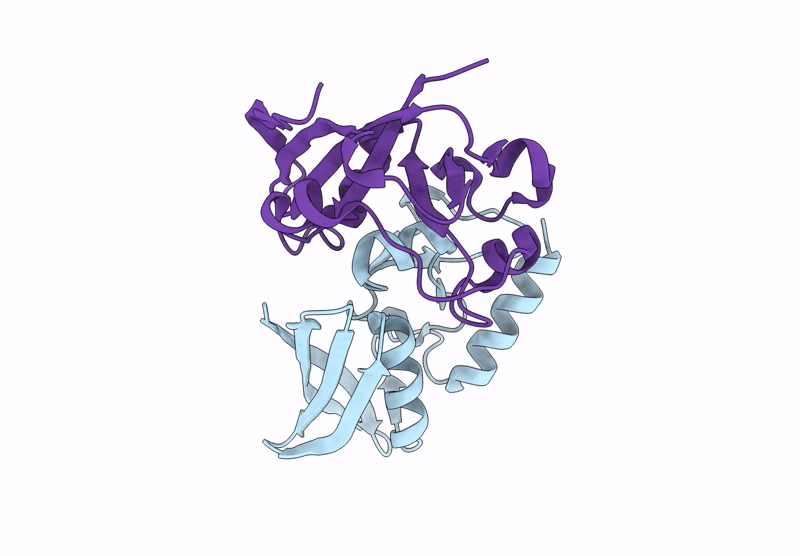 8S2M image