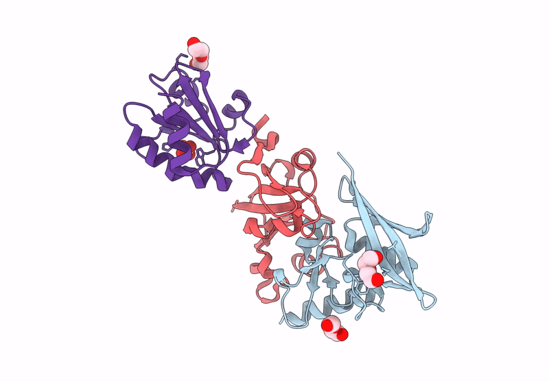 8S2N image