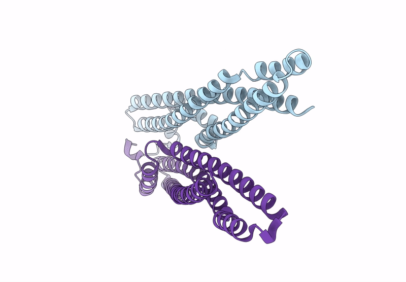 8S2P image