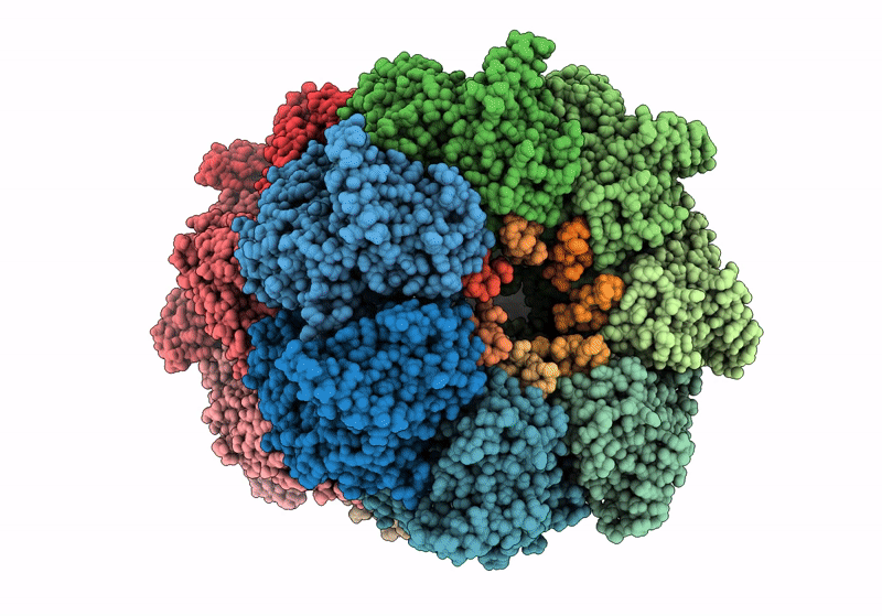 8S32 image