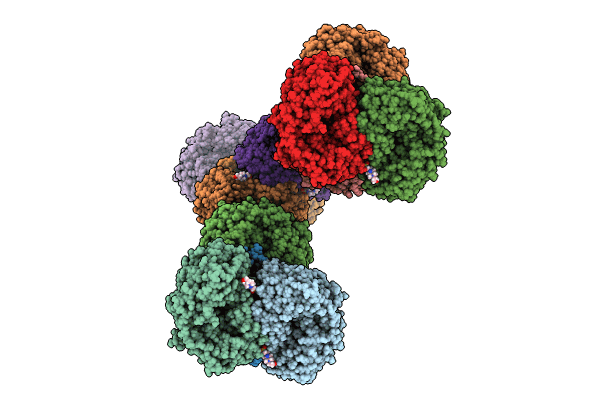 8S33 image