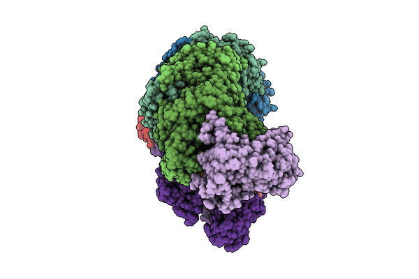 8S37 image