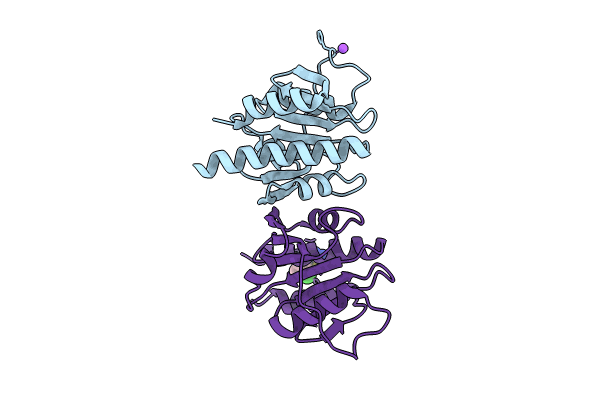 8S46 image