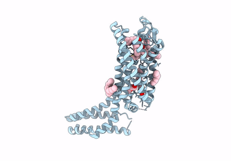 8S4D image