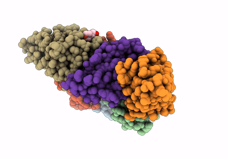 8S4H image