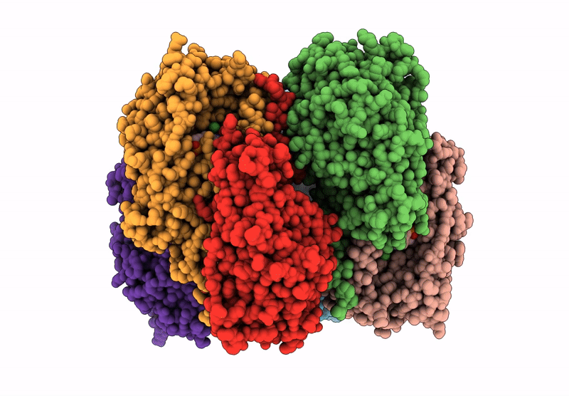 8S4P image