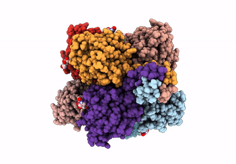 8S50 image