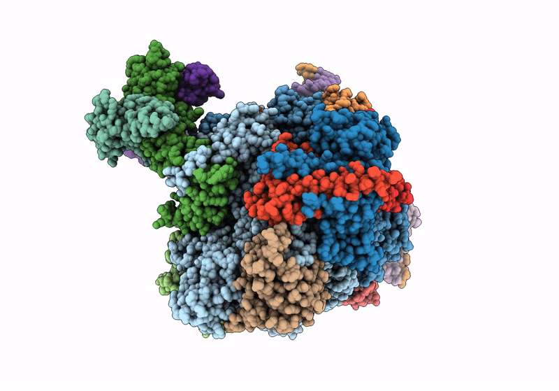 8S54 image