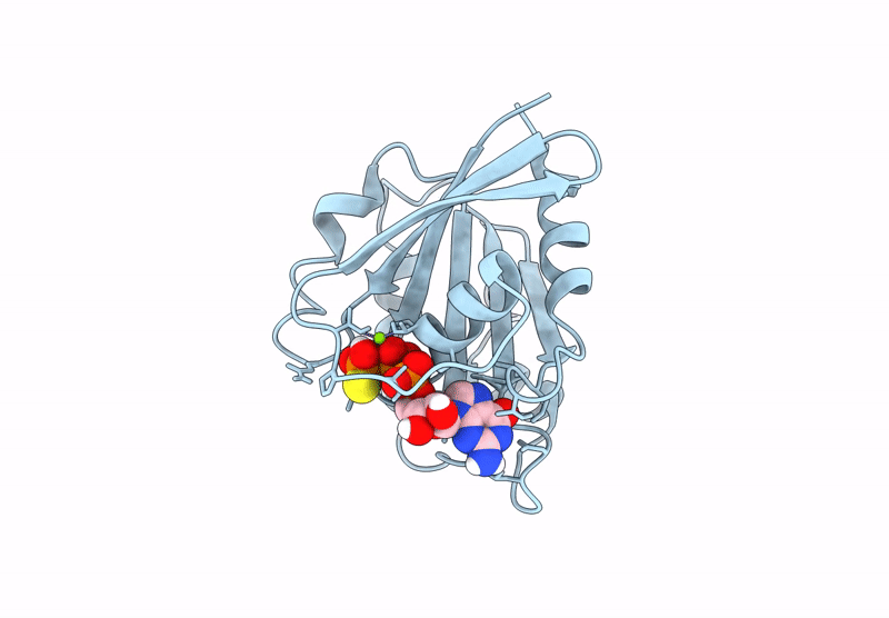 8S5D image