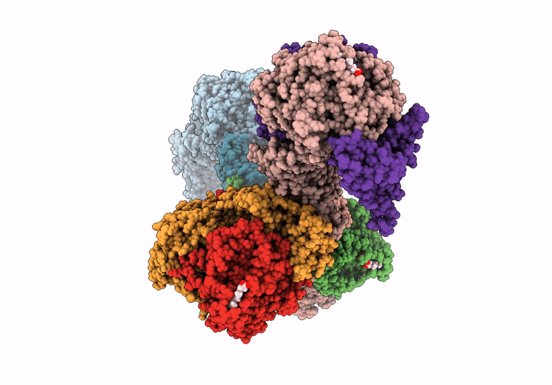 8S5H image