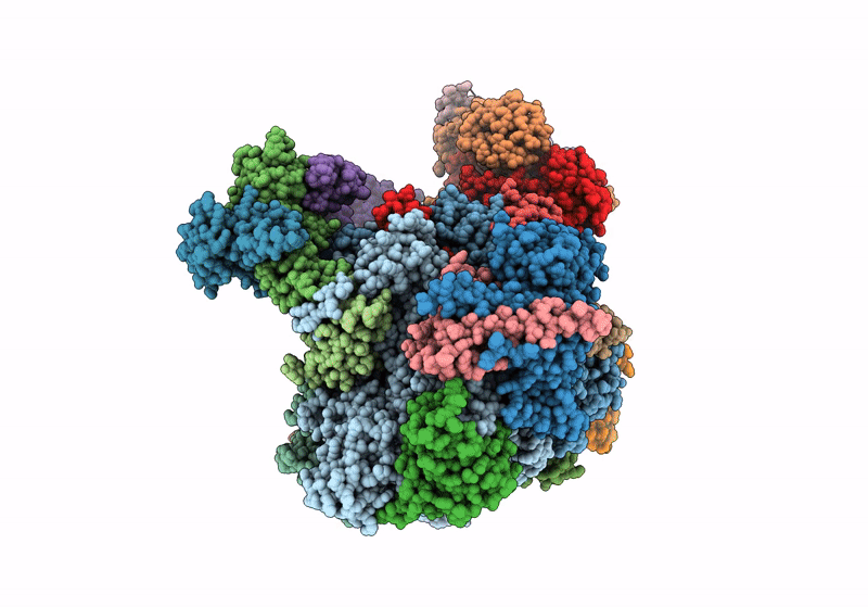 8S5N image